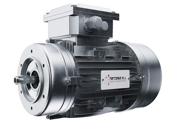 供應(yīng)西班牙TERCESA馬達、電機
