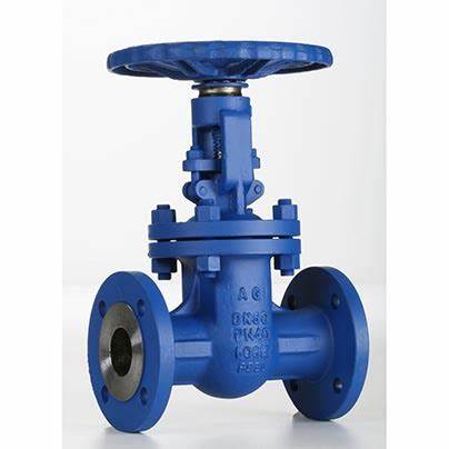 供應意大利Valvosider閥門、過濾器